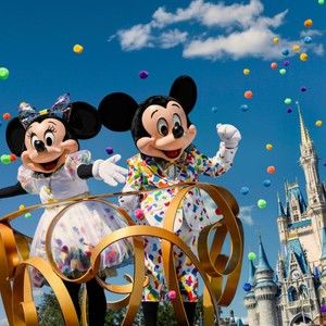 Meet your Posher, Amelia